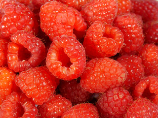 świeże maliny na słońcu, czerwone maliny, aromatyczne, soczyste maliny, fresh raspberries, red raspberries, juicy raspberries, Rubus idaeus	