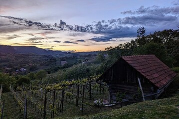 beautiful dramatic sunset scenery at vineyards in Klenice, Croatia, Hrvatsko zagorje, nature...