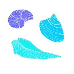 Vector Seashells line art set. Hand drawn illustration of sea Shells on isolated background. Drawing of Scallop and Starfish on outline style. Sketch of Cockleshell painted by black ink. 