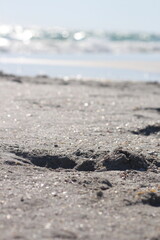 wet sand glistening under the sunlight at beach stock photo