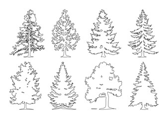 Pine tree silhouettes stroke outline. Evergreen forest firs and spruces black shapes, wild nature trees templates. Vector illustration woodland trees set on white background. Trees set silhouette