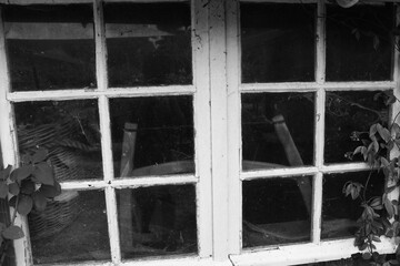 an old-fashioned double window. window frame and plants in black and white.