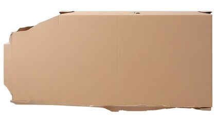 A large cardboard box with torn edges and a plain brown surface