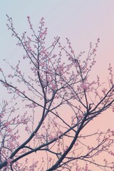 The intricate silhouette of bare tree branches weaves against a gentle pastel sky at twilight, resembling delicate lace.