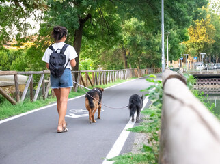 Student woman walking dogs in park with white tshirt, black backpack and sandals