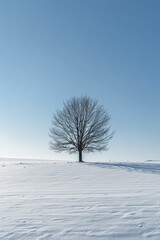 A serene winter landscape featuring a solitary leafless tree standing tall amidst a vast snow-covered field.