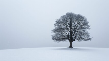 Fototapeta na wymiar The stark silhouette of a lone dark tree pierces through the serene blanket of snow under a wintry gray sky.