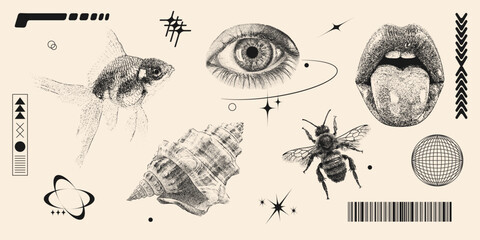 Retro futuristic photocopy elements set. Eye, lips, seashell, bee, fish and geometric abstract shapes with grain effect and stippling. Y2k print for brutal design. Contemporary vector illustration.