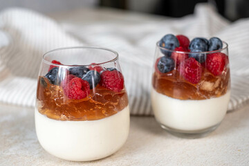 Close up of a single berry parfait with succulent raspberries and plump blueberries atop golden fruit jelly, cradled in a curved glass a visual treat for food connoisseurs.