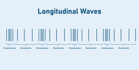 Longitudinal waves. Compression and rarefaction.