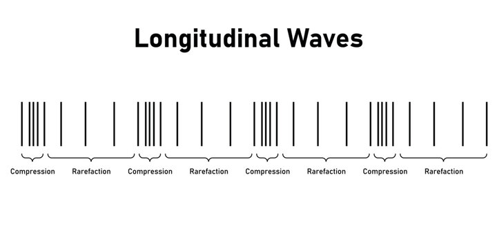 Longitudinal waves. Compression and rarefaction.