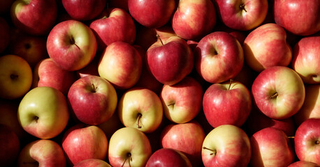 Fresh Assortment of Red and Green Apples