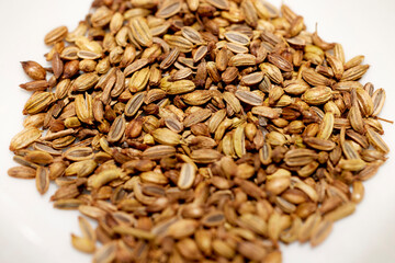 Close up of organic dry roasted fennel seed on a white ceramic plate