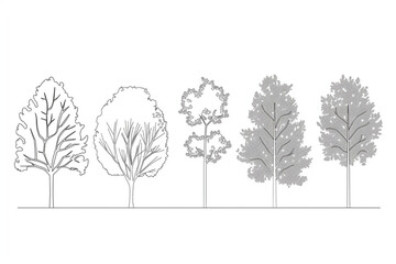 Architectural Drawings, Minimal style cad tree line drawing, Side view, set of graphics trees elements outline symbol for landscape design drawing. Vector illustration in stroke fill in white vector i