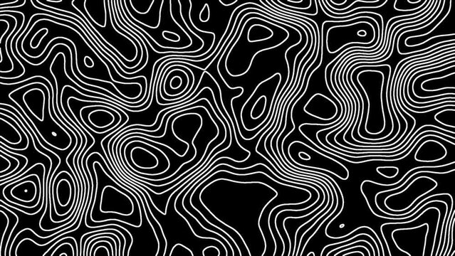 Background , texture , animated , topographic , motion