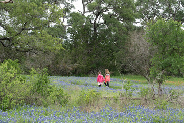 Two sisters walking along spring wildflowers