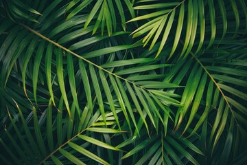 closeup nature view of green leaf and palms background. Flat lay, dark nature concept, tropical leaf - generative ai