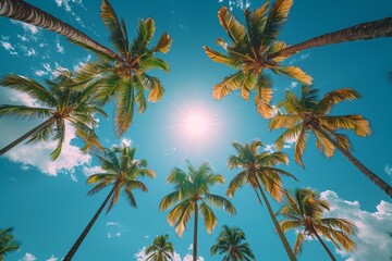 The canopies of palm trees converge, creating a natural pattern against the sunny, blue sky, evoking a sense of vibrancy
