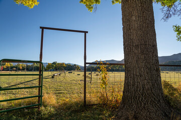 sunrise over a farm with bales of hay
