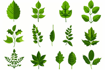 set of various green leaves element vector icon, white background, black colour icon