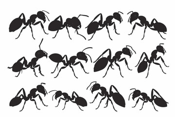 silhouettes of ants in different poses, ant vector vector icon, white background, black colour icon