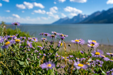 wildflowers along a mountain lake