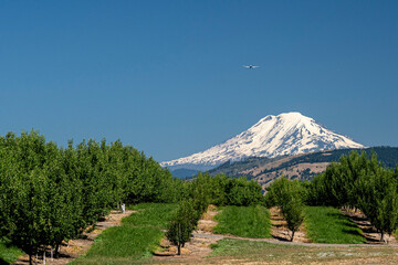 a plane on approach over a farm with a mountain in the background
