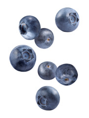 Fresh ripe bilberries falling on white background