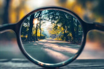 Scenic forest pathway seen through glasses, clarity and perspective concept