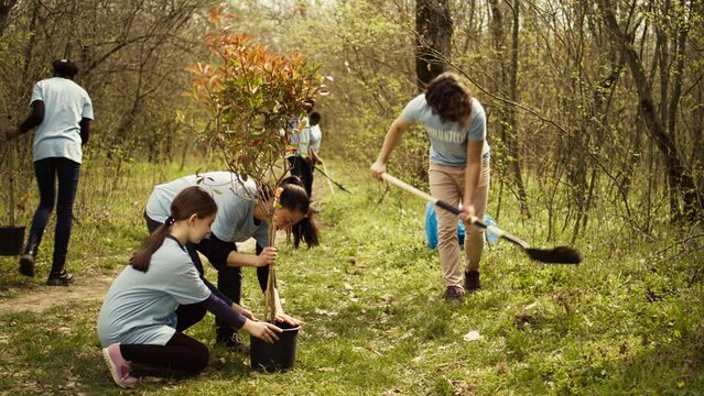Team of volunteers growing the natural habitat in a forest, planting trees and preserving nature by taking action and fighting to save the planet. Activists doing community service. Camera B.