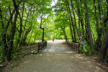 Marmaris, Gunnucek Nature Park is home to many endemic plant species and birds such as the sigla tree. A unique park by the sea for hiking and yoga.