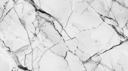 Minimalistic Elegance: Capturing the Grandeur of White Marble Texture