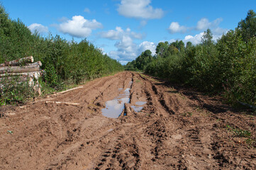 Country dirt road with puddles after rain, sunny summer day