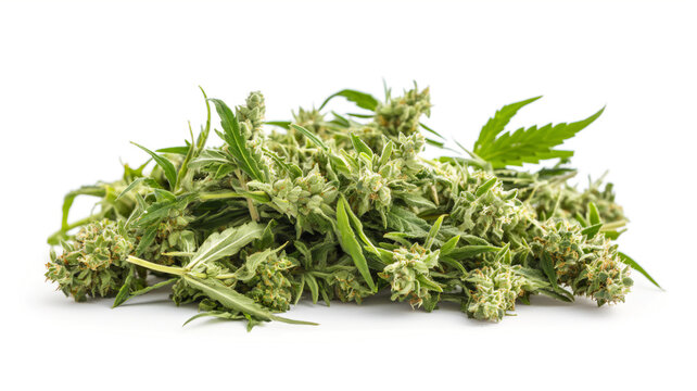 Pile of cannabis buds with leaves isolated on a white background
