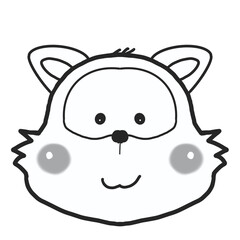 Raccoon
