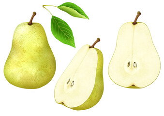 pear  洋梨  1個  半分  カット  手描き