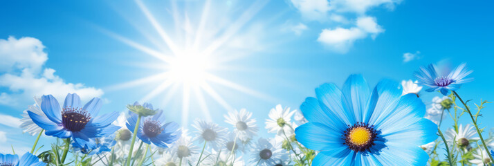 Beautiful meadow close-up of blue and white blooming flowers on cloudy sky with sun, on sunny spring summer day background. Colorful and bright natural pastoral landscape. - obrazy, fototapety, plakaty