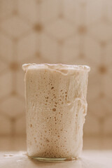 Ripe Sourdough Starter Kitchen Counter