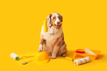 Cute dog and decorator's tools on yellow background