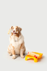 Cute dog and decorator's tools on light background