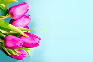 Fresh flower composition, bouquet of bi color tulips