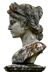 Bust of a Roman woman side view