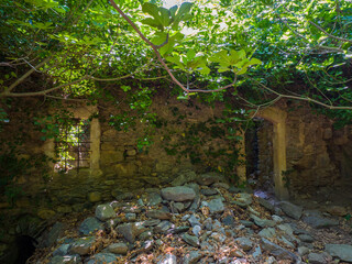 Ruins in a forest (Richtis Gorge, Crete, Greece) - obrazy, fototapety, plakaty