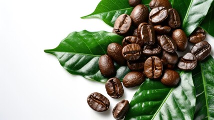 Coffee beans on green leaves, food photography, overhead view, white background, poster design  