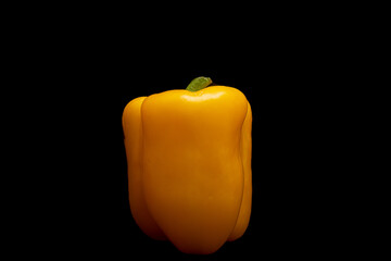 Yellow pepper in black background