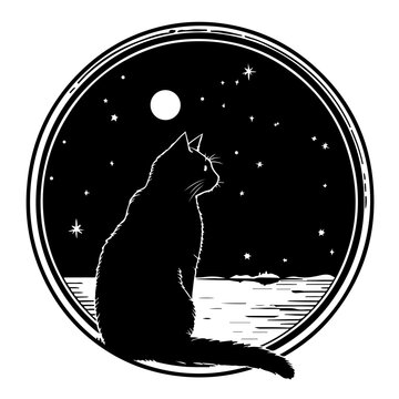 Cat looking at the night sky