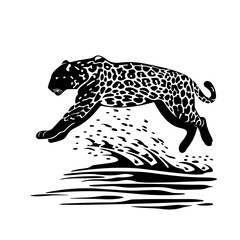 leopard running in water