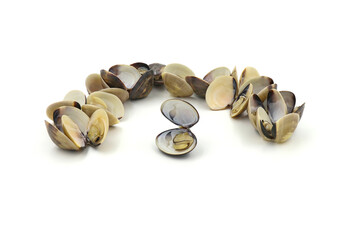 Closed up fresh baby clams, venus shell, shellfish, carpet clams, short necked clams, as raw food from the sea are the seafood ingredients. fresh clams Background. seafood.Isolated on white background