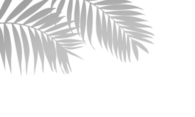 Shadow overlay effect, light overlay