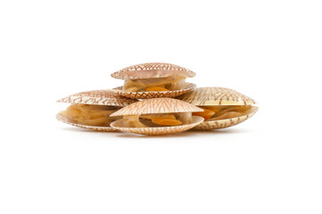 Closed up fresh baby clams, venus shell, shellfish, carpet clams, short necked clams, as raw food from the sea are the seafood ingredients. fresh clams Background.